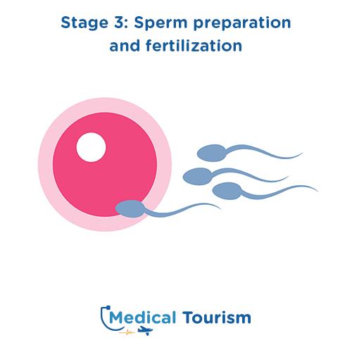 International Fertility Clinic for medical tourism